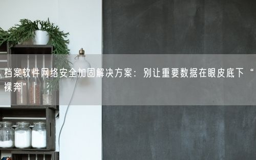 档案软件网络安全加固解决方案：别让重要数据在眼皮底下“裸奔”