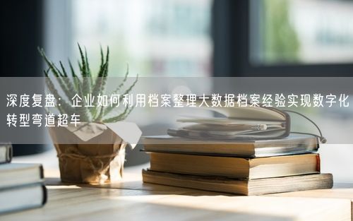 深度复盘：企业如何利用档案整理大数据档案经验实现数字化转型弯道超车