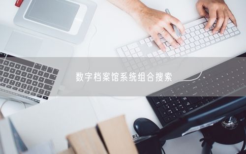 数字档案馆系统组合搜索