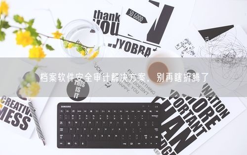 档案软件安全审计解决方案，别再瞎折腾了