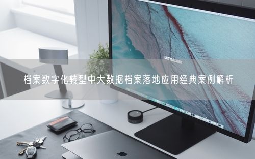 档案数字化转型中大数据档案落地应用经典案例解析