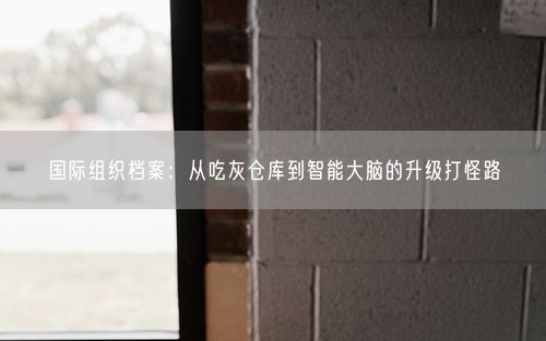 国际组织档案：从吃灰仓库到智能大脑的升级打怪路