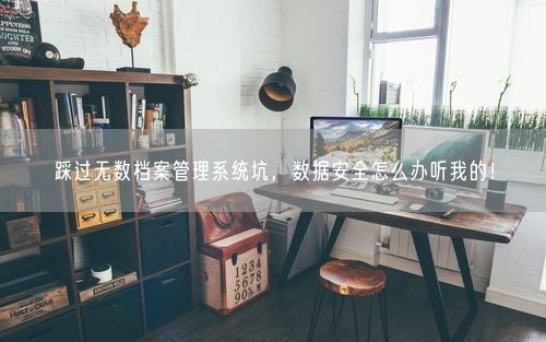 踩过无数档案管理系统坑，数据安全怎么办听我的！