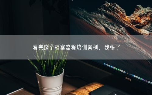 看完这个档案流程培训案例，我悟了