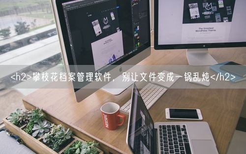 <h2>攀枝花档案管理软件，别让文件变成一锅乱炖</h2>