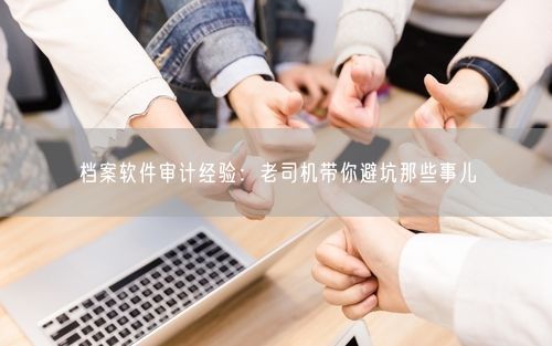 档案软件审计经验：老司机带你避坑那些事儿