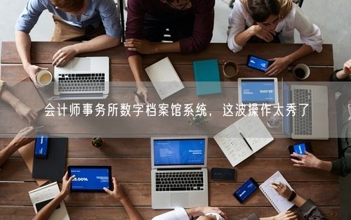 会计师事务所数字档案馆系统，这波操作太秀了