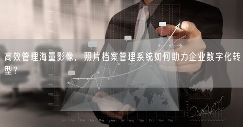 高效管理海量影像，照片档案管理系统如何助力企业数字化转型？