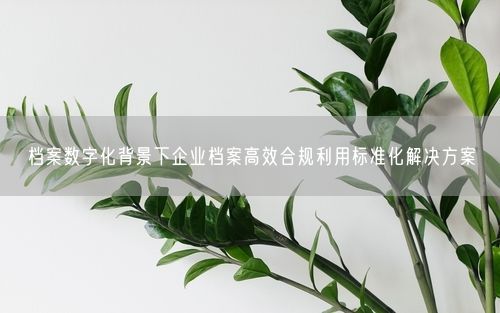 档案数字化背景下企业档案高效合规利用标准化解决方案