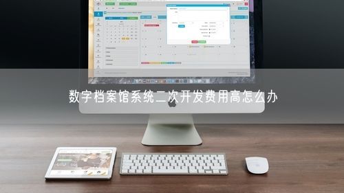 数字档案馆系统二次开发费用高怎么办