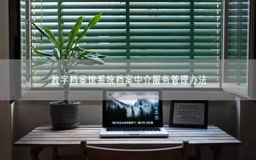 数字档案馆系统档案中介服务管理办法