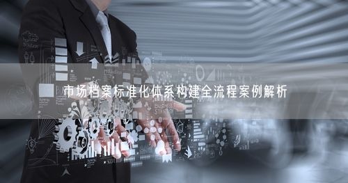 市场档案标准化体系构建全流程案例解析