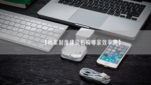 【档案制度建设机构哪家效率高】