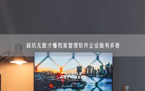 踩坑无数才懂档案管理软件企业版有多香