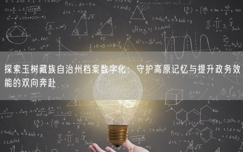 探索玉树藏族自治州档案数字化：守护高原记忆与提升政务效能的双向奔赴
