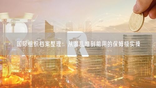 国际组织档案整理：从混乱堆到能用的保姆级实操