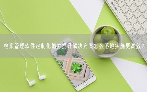 档案管理软件定制化能力提升解决方案怎么落地实施更高效？
