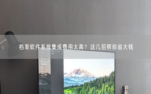 档案软件系统集成费用太高？这几招帮你省大钱