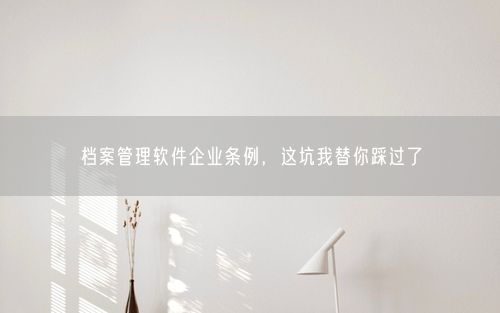 档案管理软件企业条例，这坑我替你踩过了