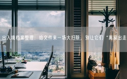 出入境档案整理：给文件来一场大扫除，别让它们“离家出走”