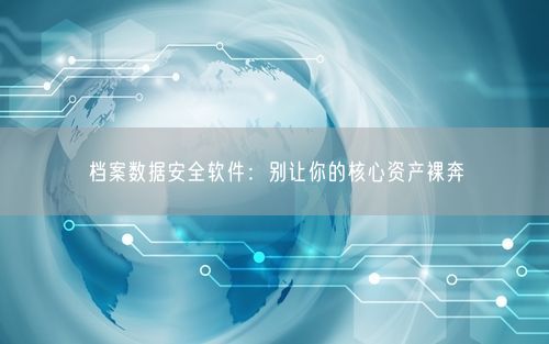 档案数据安全软件：别让你的核心资产裸奔