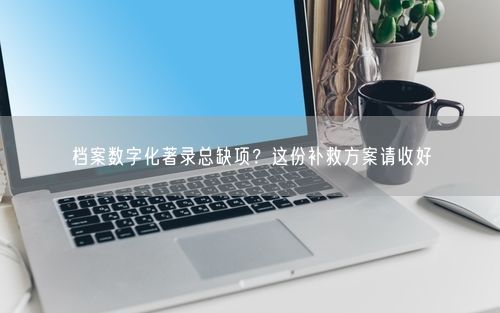 档案数字化著录总缺项？这份补救方案请收好