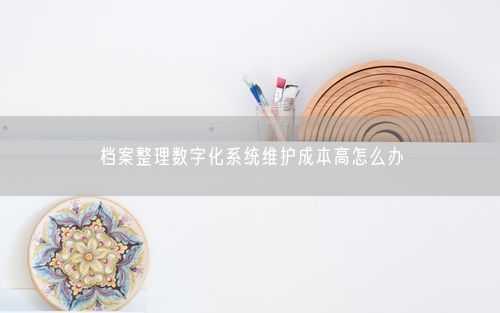 档案整理数字化系统维护成本高怎么办