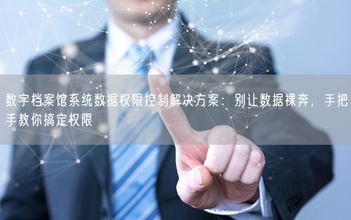 数字档案馆系统数据权限控制解决方案：别让数据裸奔，手把手教你搞定权限
