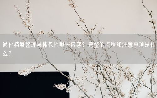 通化档案整理具体包括哪些内容？完整的流程和注意事项是什么？