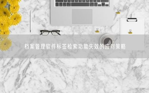 档案管理软件标签检索功能失效的应对策略