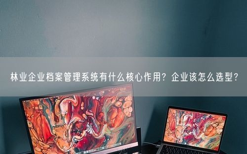 林业企业档案管理系统有什么核心作用？企业该怎么选型？