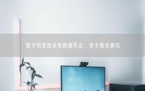 数字档案馆系统数据导出：老手教你避坑