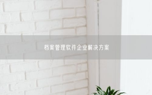 档案管理软件企业解决方案