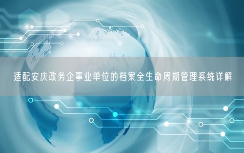 适配安庆政务企事业单位的档案全生命周期管理系统详解