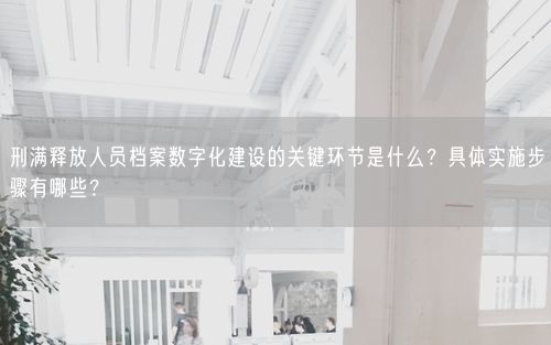 刑满释放人员档案数字化建设的关键环节是什么？具体实施步骤有哪些？