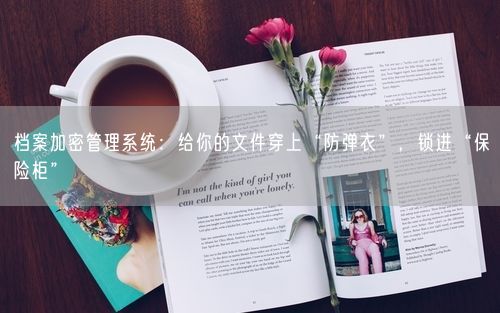 档案加密管理系统：给你的文件穿上“防弹衣”，锁进“保险柜”