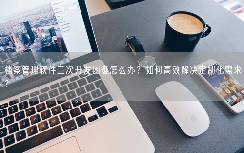 档案管理软件二次开发困难怎么办？如何高效解决定制化需求？