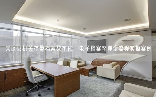 某区县机关存量档案数字化：电子档案整理全流程实操案例