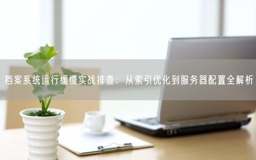 档案系统运行缓慢实战排查：从索引优化到服务器配置全解析