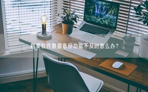 档案软件数据备份功能不及时怎么办？