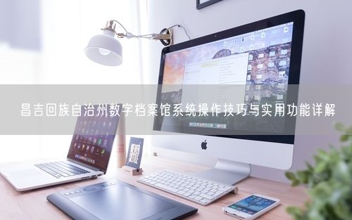 昌吉回族自治州数字档案馆系统操作技巧与实用功能详解