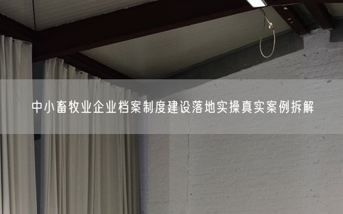 中小畜牧业企业档案制度建设落地实操真实案例拆解