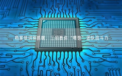 档案培训别抓瞎，三招教你“喂饱”团队战斗力