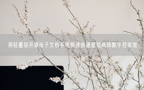 用轻量级开源电子文档系统快速搭建基础商场数字档案馆