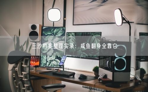 三沙档案整理实录：咸鱼翻身全靠它