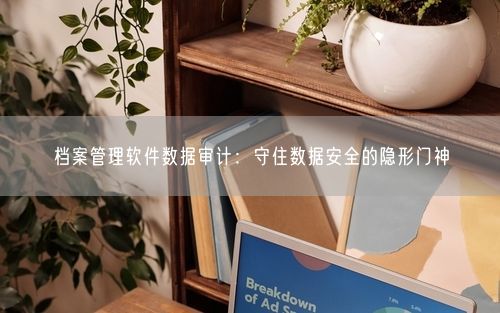 档案管理软件数据审计:守住数据安全的隐形门神