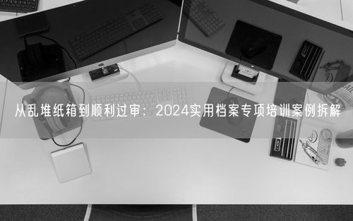 从乱堆纸箱到顺利过审：2024实用档案专项培训案例拆解