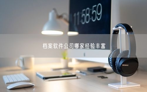 档案软件公司哪家经验丰富