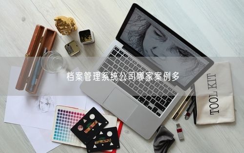 档案管理系统公司哪家案例多