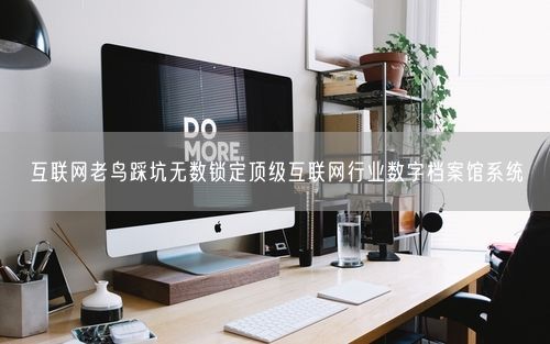 互联网老鸟踩坑无数锁定顶级互联网行业数字档案馆系统